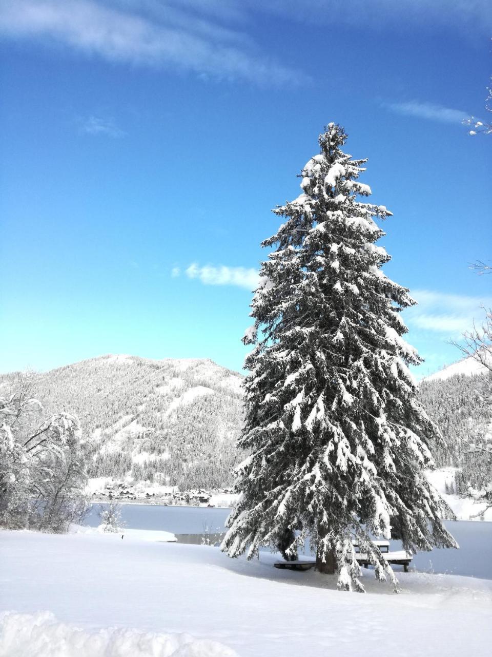 Ferienwohnungen Mitterer Weissensee Esterno foto