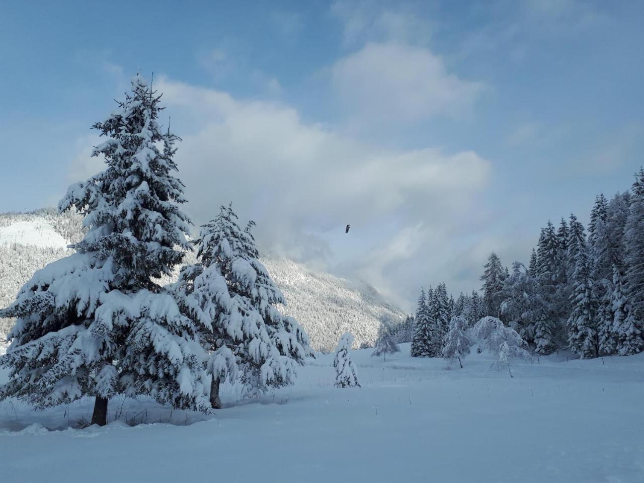 Ferienwohnungen Mitterer Weissensee Esterno foto